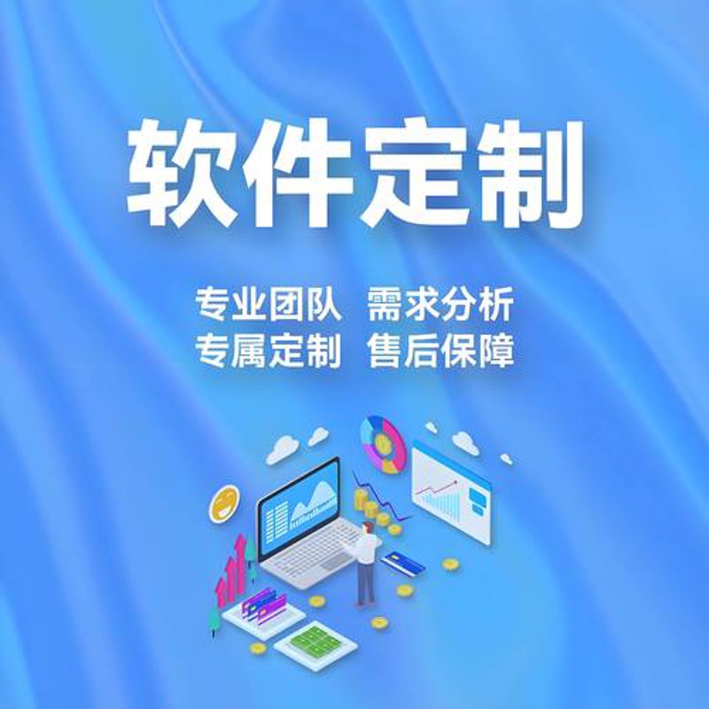 系统定制